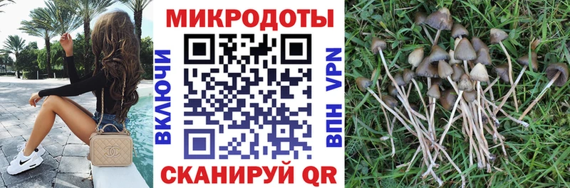 Купить закладки  Тотьма  Псилоцибиновые грибы Cubensis 